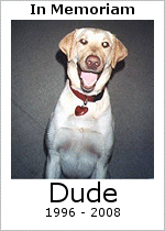 My dog Dude